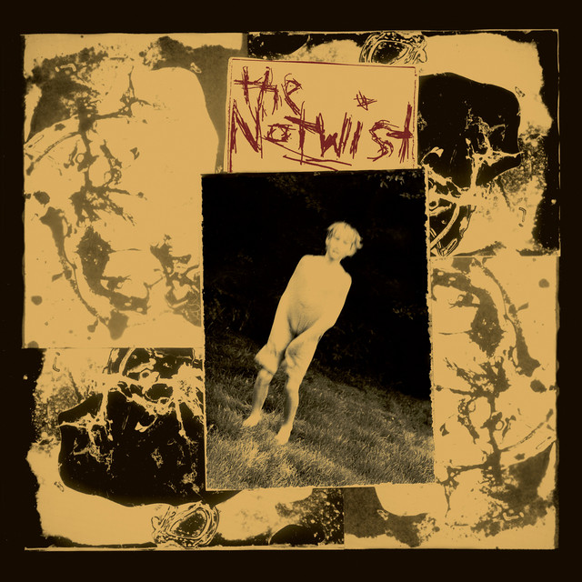 The Notwist『The Notwist』